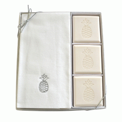 Carved Solutions Eco Luxury Courtesy Gift Set-S-Pineapple Soap